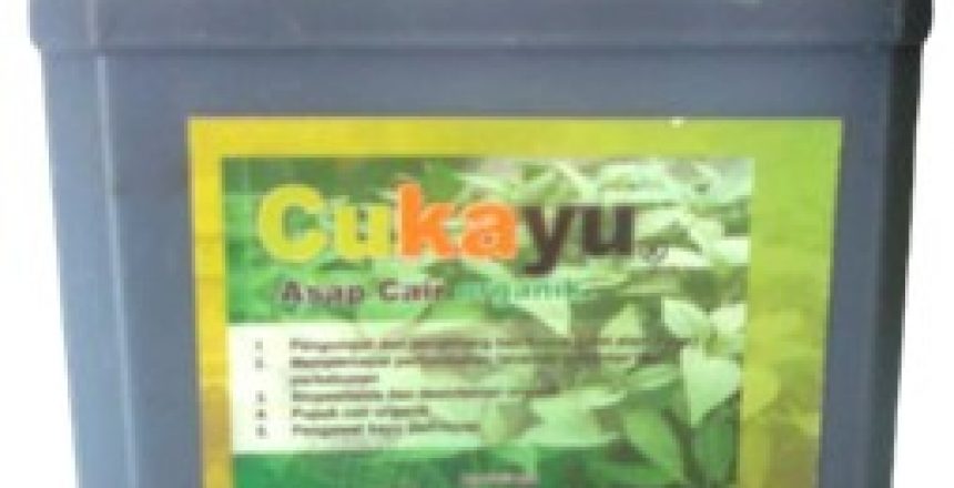 cuka kayu